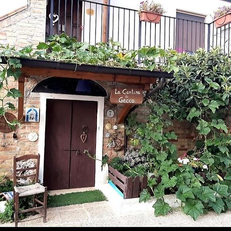 B&B La Casa In Campagna Collecorvino Экстерьер фото