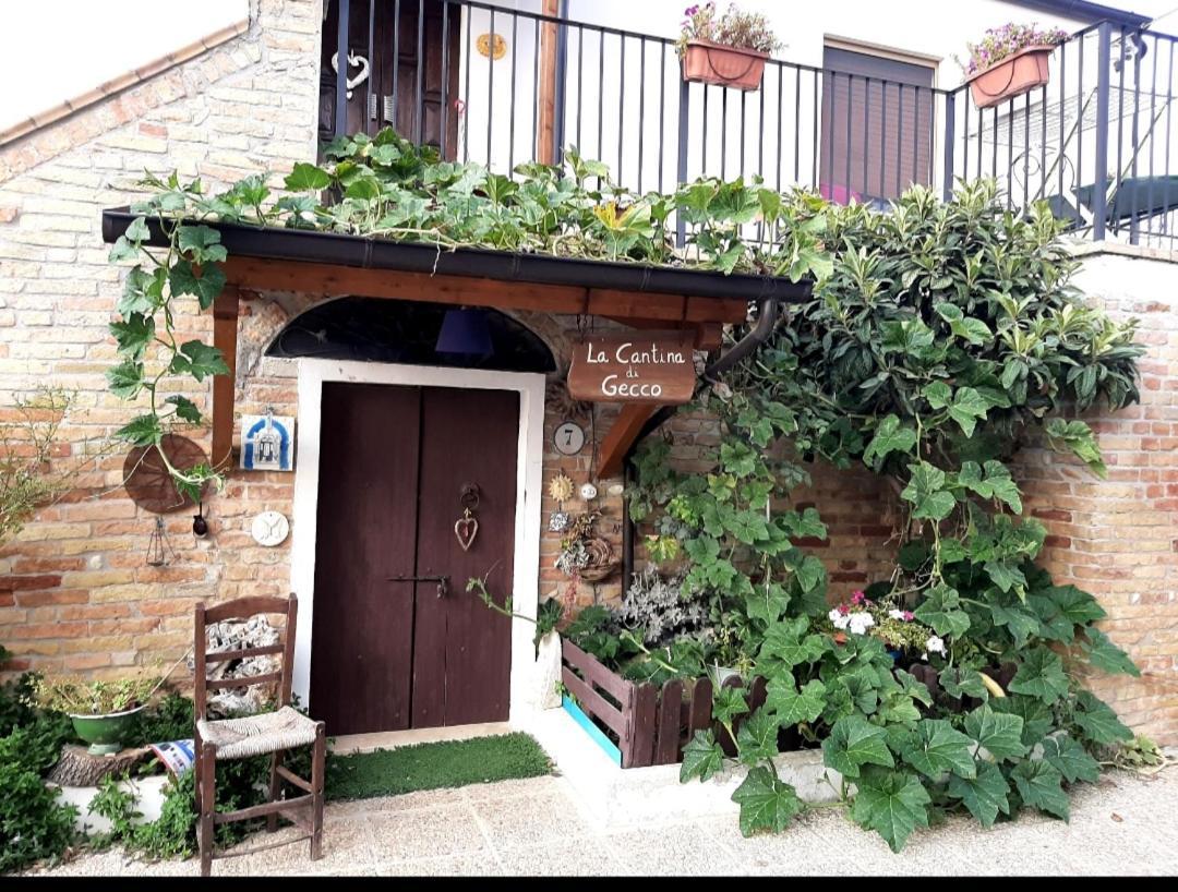 B&B La Casa In Campagna Collecorvino Экстерьер фото